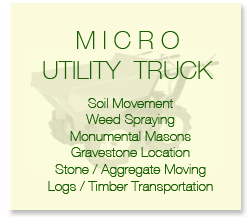 Micro Utility Trucks